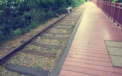 龍之盈游樂(lè)二代軌道小火車(chē)廠(chǎng)家直銷(xiāo)，價(jià)格透明