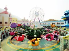 維護(hù)大型游樂設(shè)備時需要注意什么？